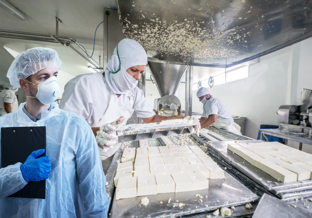 Process Audits